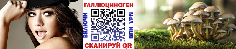 блэк спрут вход  даркнет сайт  Лабытнанги  Псилоцибиновые грибы GOLDEN TEACHER 